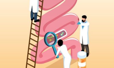 Exploring HumanMicrobes.org, How Fecal Microbiota is Transforming Health