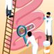 Exploring HumanMicrobes.org, How Fecal Microbiota is Transforming Health