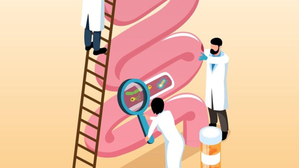 Exploring HumanMicrobes.org, How Fecal Microbiota is Transforming Health